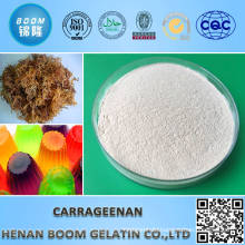 Injection Type Carrageenan 120m